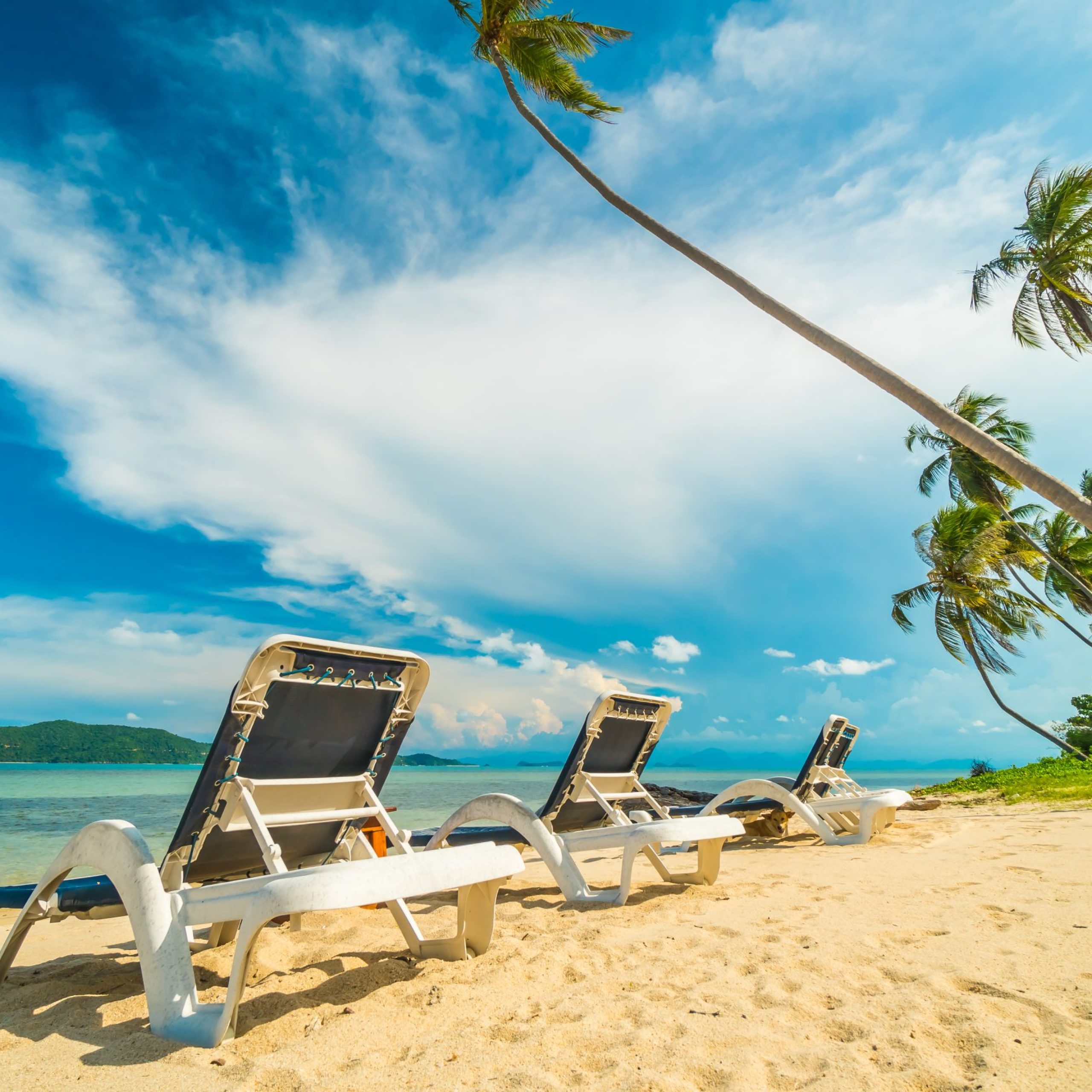Beautiful tropical beach and sea with coconut palm tree and chair in paradise island