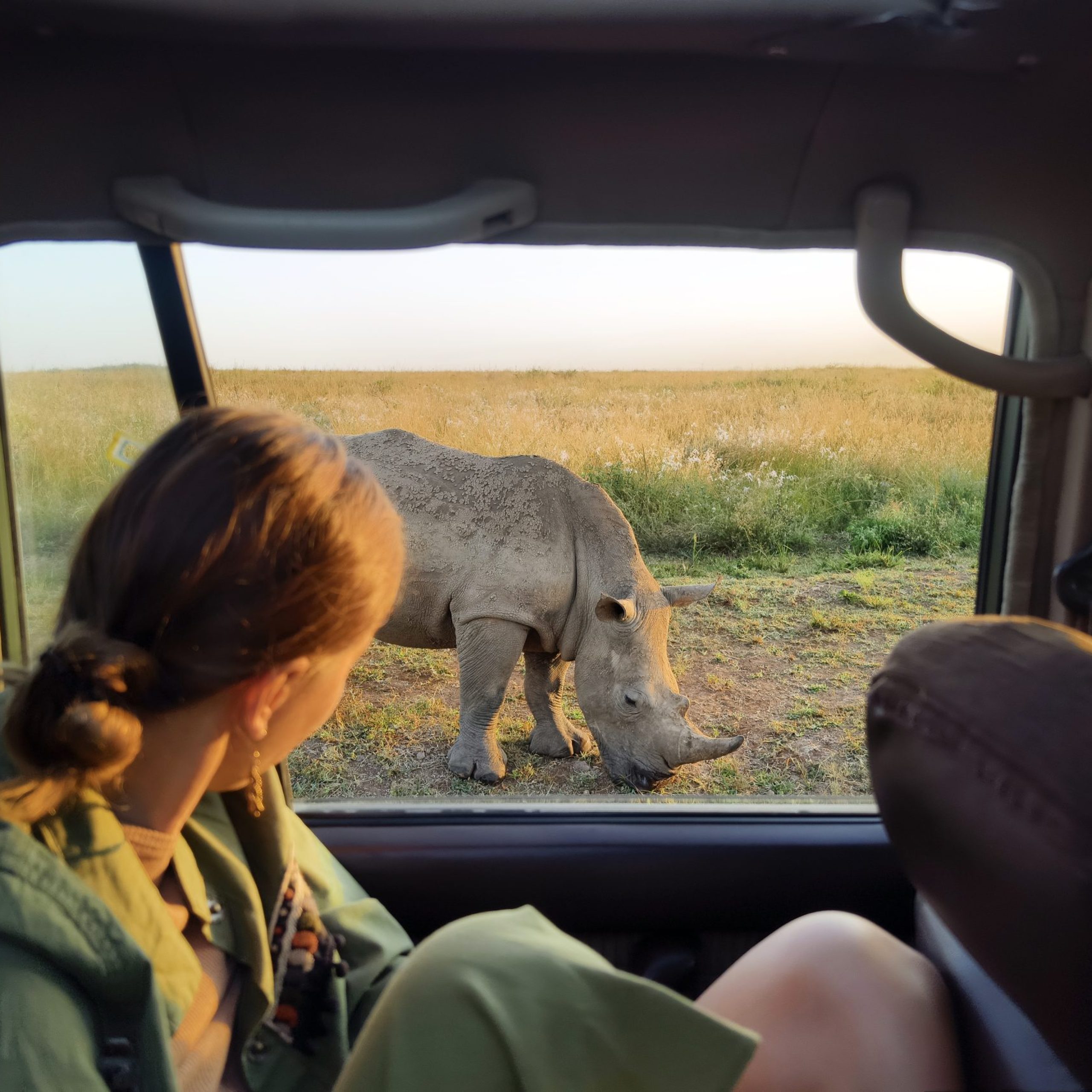 Young woman discover african nature by car with an open window Tanzania safari. A Caucasian girl looks at animals in the savannah. The concept of travel and adventure in the wild.